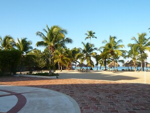 A beachside resort with palm trees, a sandy beach, and lounge chairs.