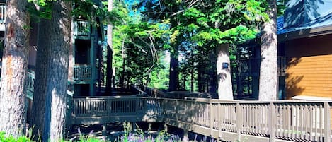A wooden deck connecting two buildings surrounded by trees and purple flowers.