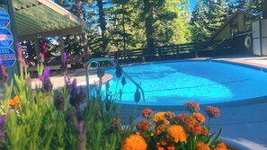 A swimming pool with a wooden deck and a covered area, surrounded by trees and flowers. - Perfect 1-bedroom condo, a 7 min walk to The Village (Mammoth Lakes)