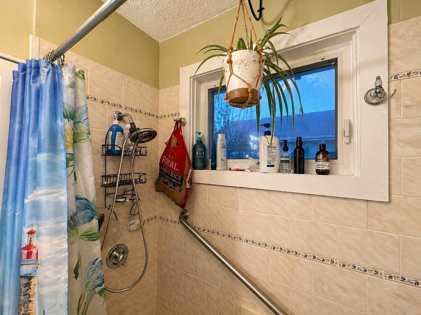 A bathroom with a shower, a window with a potted plant, and toiletries on the windowsill.
