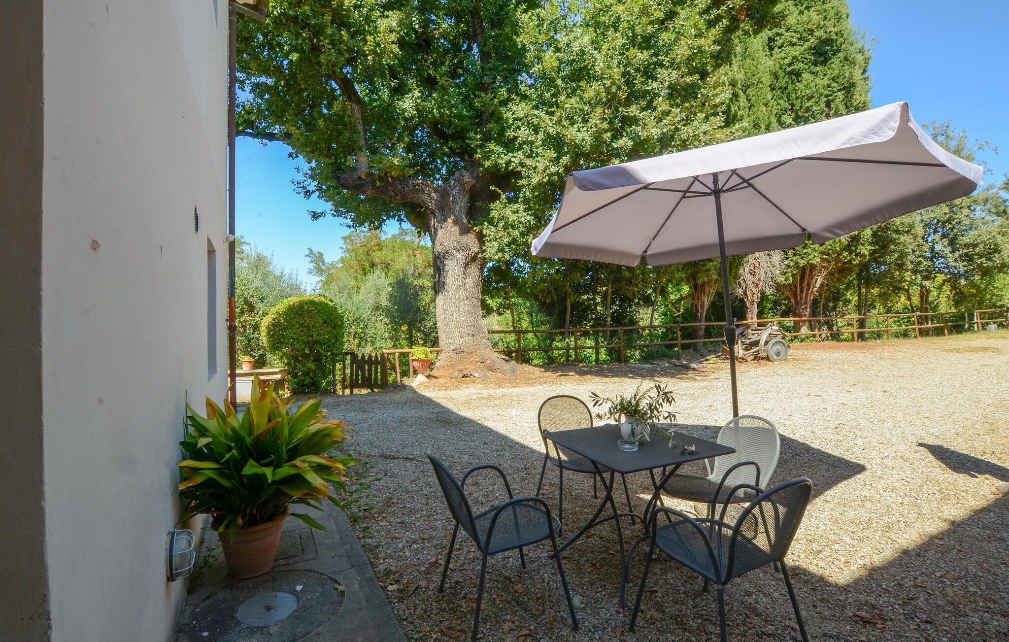 An outdoor patio with a table and chairs, a large umbrella, and a potted plant.