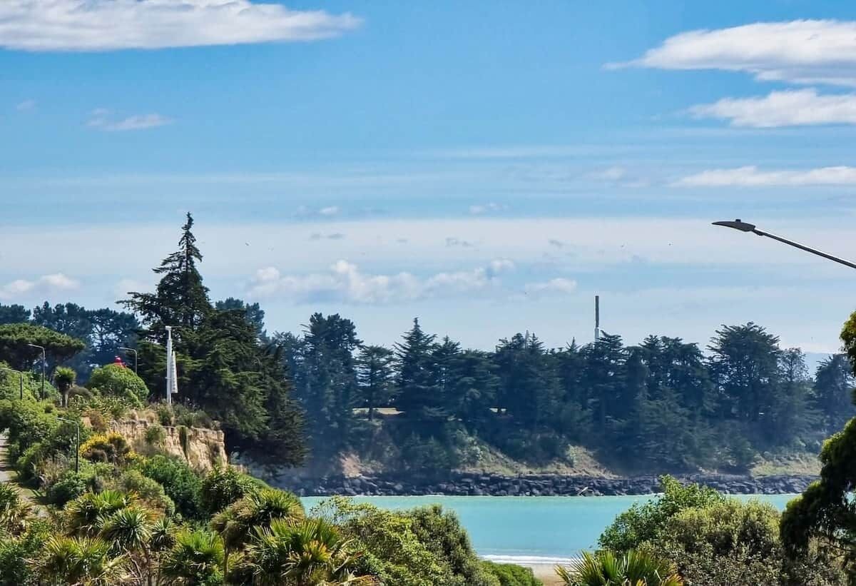 A coastal landscape with a clear sky, a beach, and dense forest.