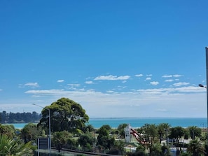 A coastal landscape with a clear sky, a large tree, and a view of the sea.