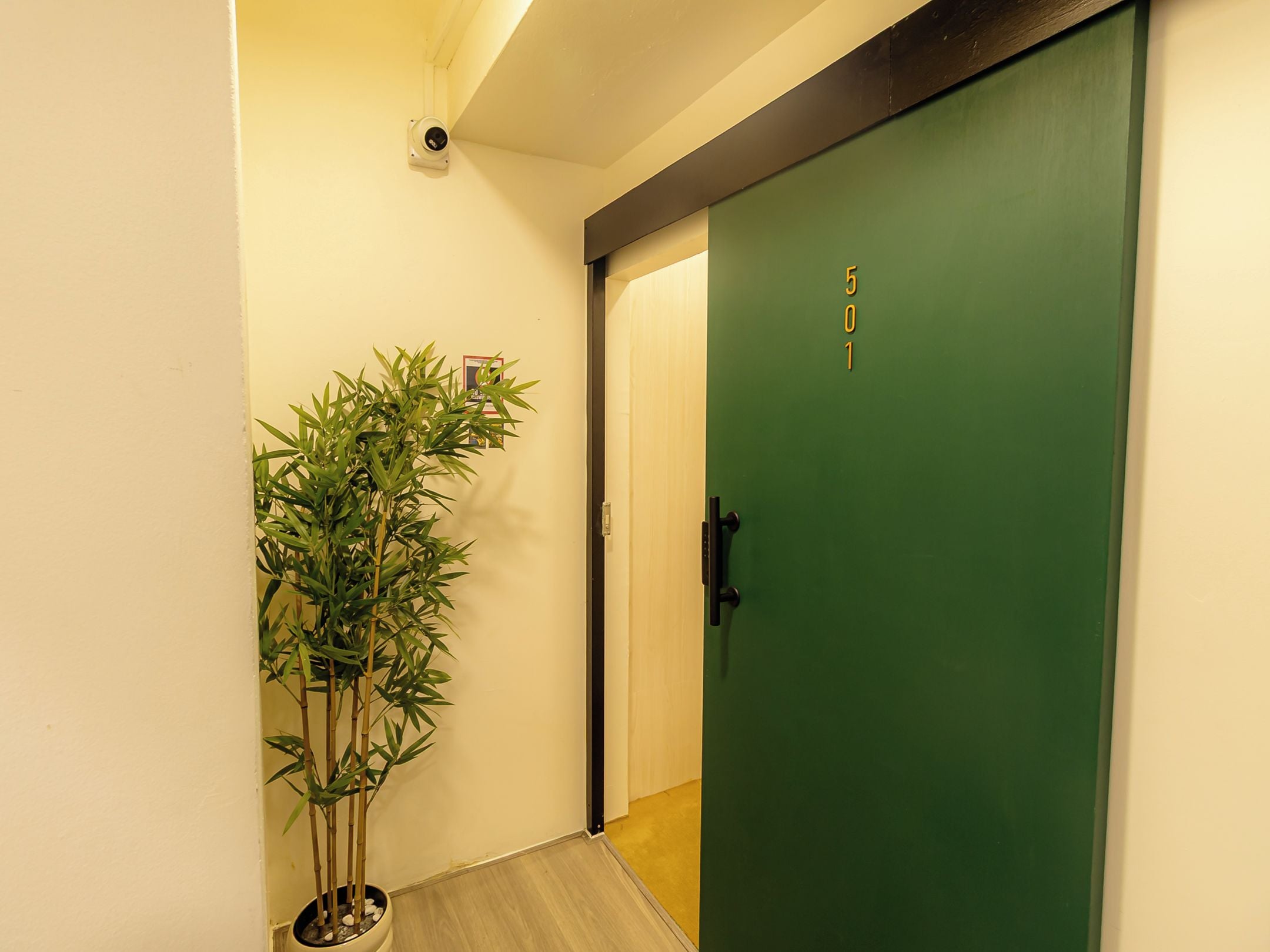 Un couloir avec une porte verte portant le numéro « 501 », une plante en bambou et une petite marche menant à la porte.
