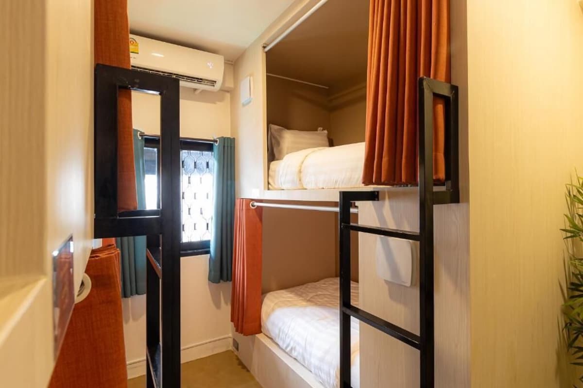 Ein Mehrbettzimmer mit Fenster, Spiegel und Pflanze.