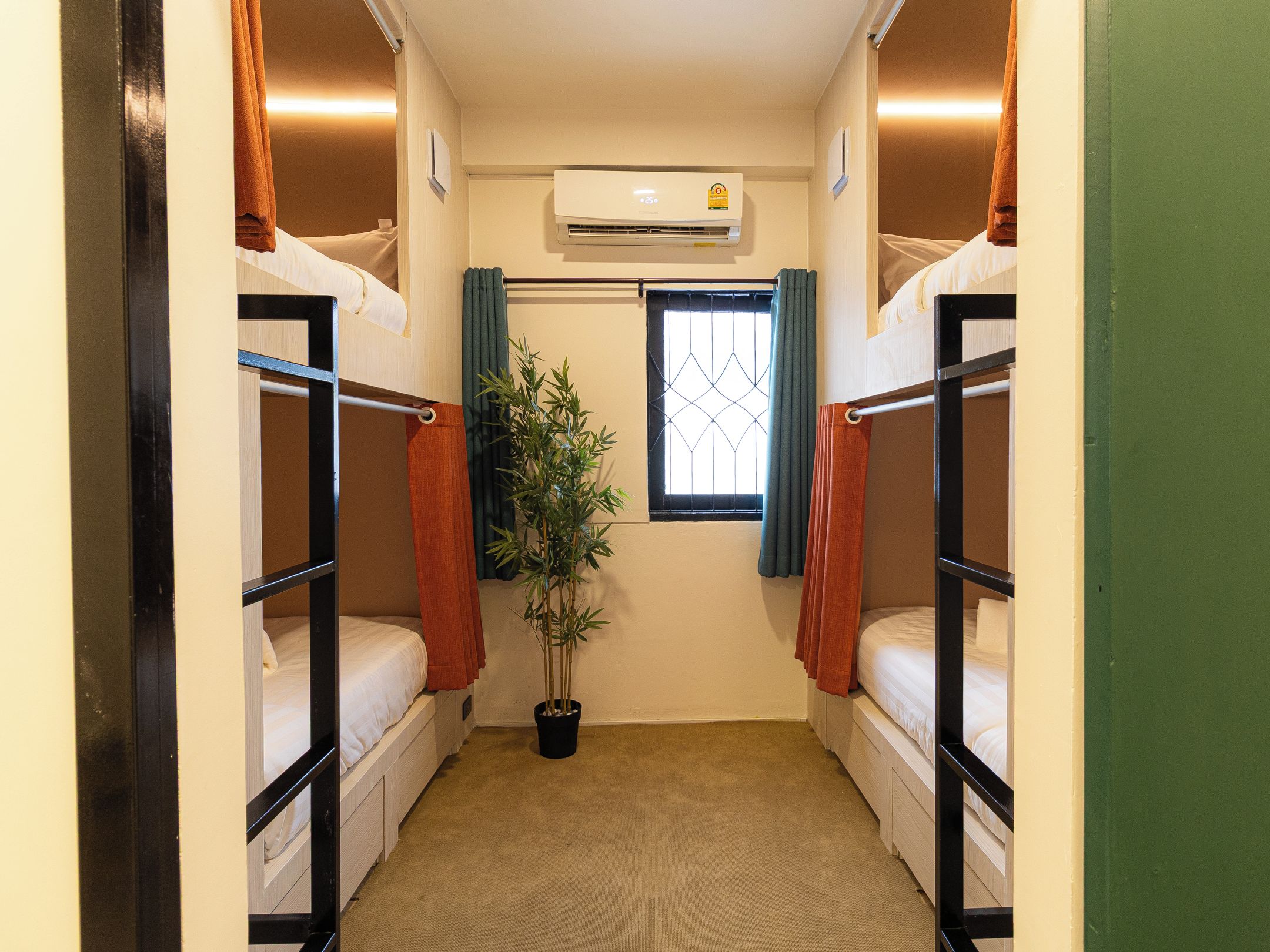 Habitación pequeña con literas, una planta en maceta y ventana con cortinas.
