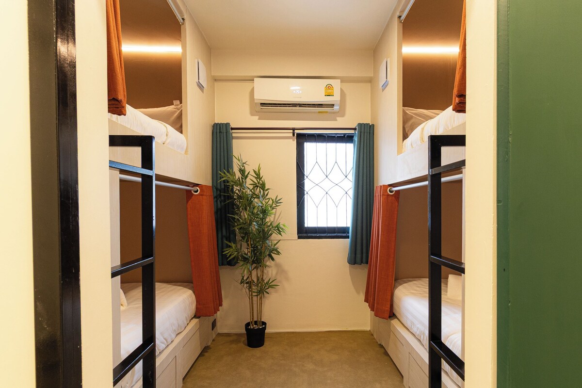 A compact room with bunk beds, a potted plant, and a window with curtains.