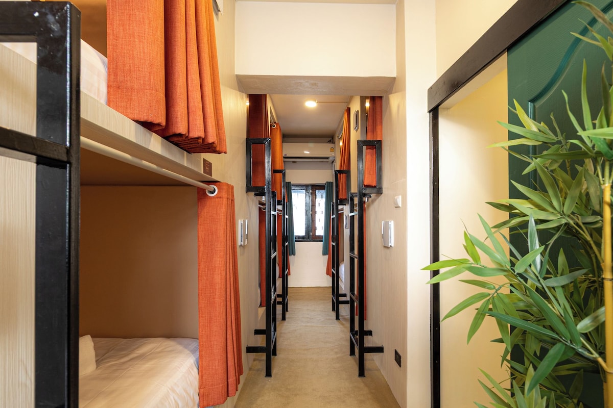 A corridor with bunk beds, a plant, and a door on the right.