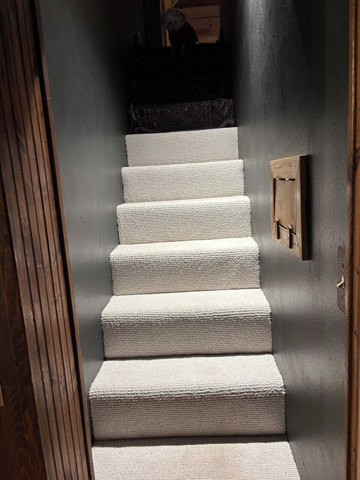 Una escalera con alfombra texturizada que lleva a una habitación oscura.
