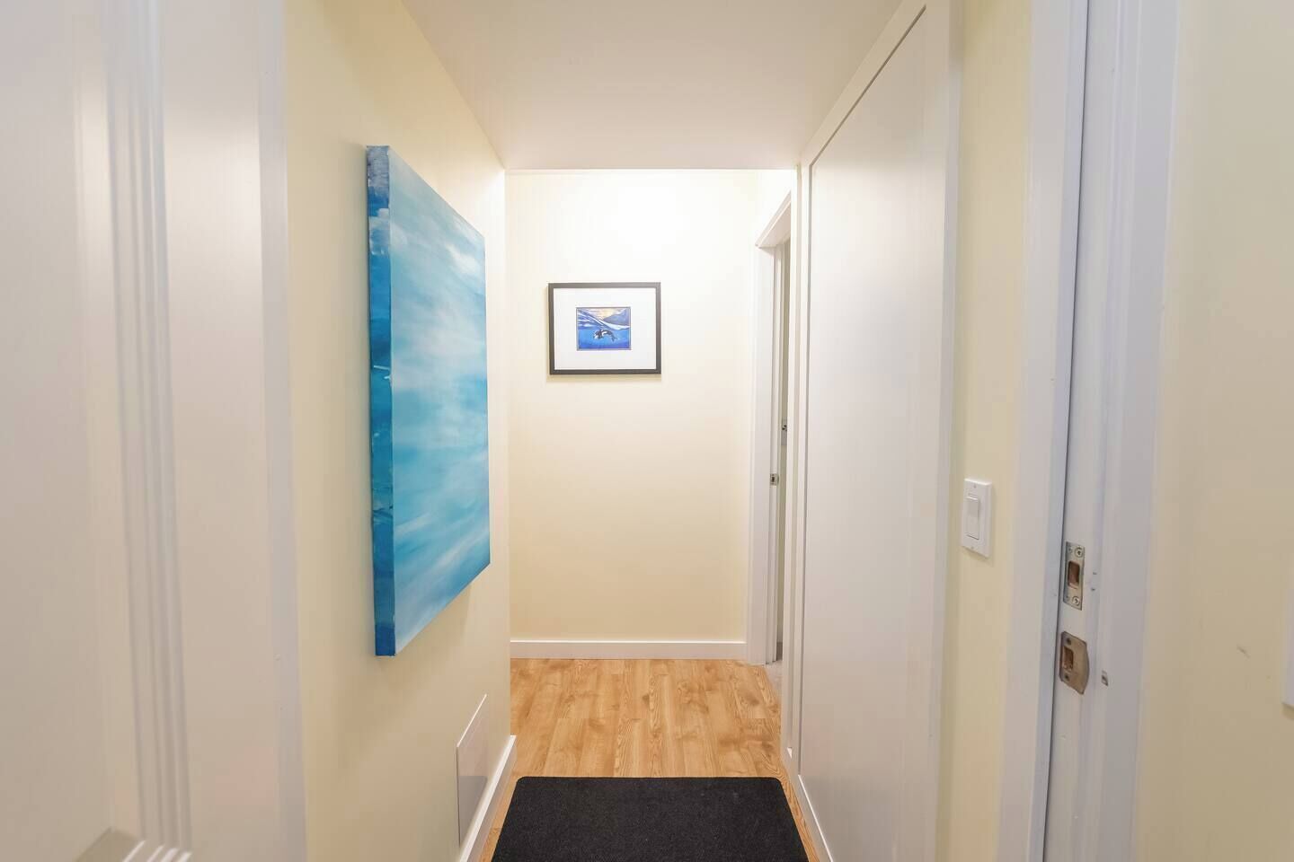 A hallway with a wooden floor, a black doormat, a framed picture on the wall, and a door on the right.