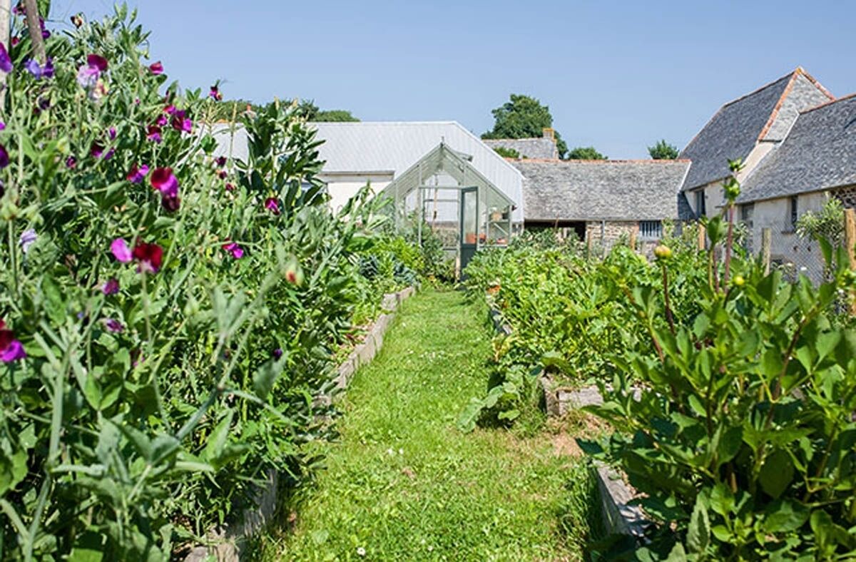 Ein Gartenweg führt zu einer Gewächshauskonstruktion, umgeben von üppigem Grün und blühenden Pflanzen.