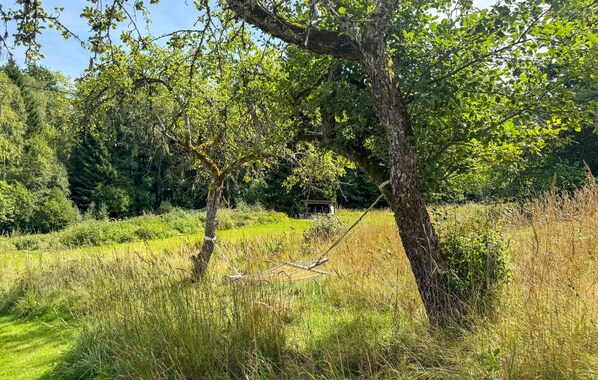 Paisatge natural amb un arbre al primer pla, una construcció petita al fons i un camp de gespa.