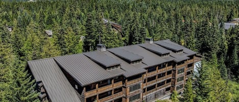 A multi-story lodge with a dark roof, surrounded by dense forest, and a mountain in the background.