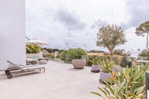 Terraço no telhado com piscina, espreguiçadeiras e plantas em vasos.