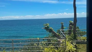 A coastal view with a railing, greenery, and a clear sky.