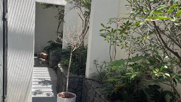 Un sendero estrecho bordeado por macetas con plantas y una pared de piedra, que lleva a la entrada de un edificio.