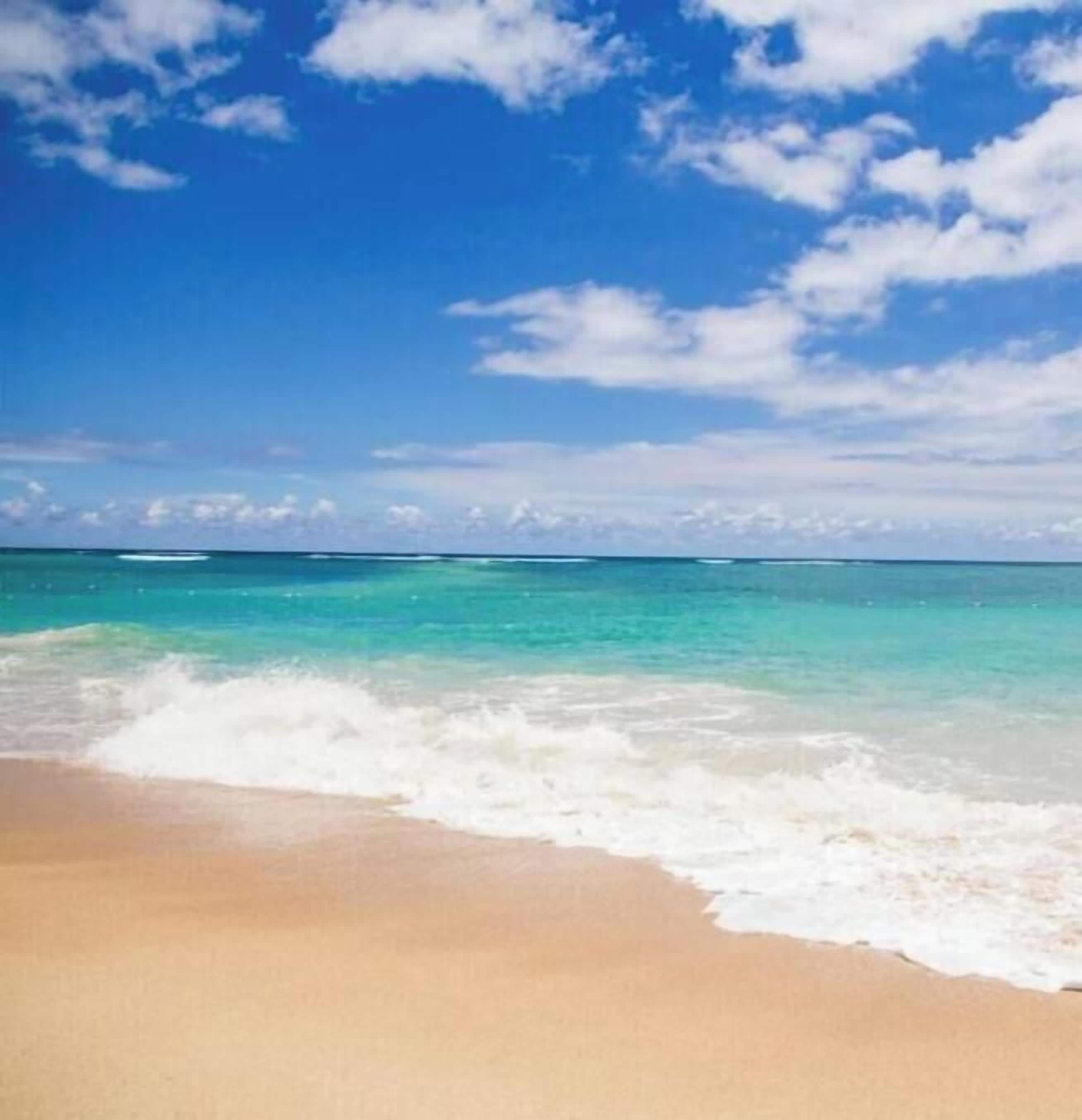 Une plage à l’eau turquoise et limpide, bordée d’un rivage sablonneux.