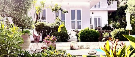 Un edificio moderno con un camino de piedra que conduce a la entrada, rodeado de diversas plantas y arbustos.