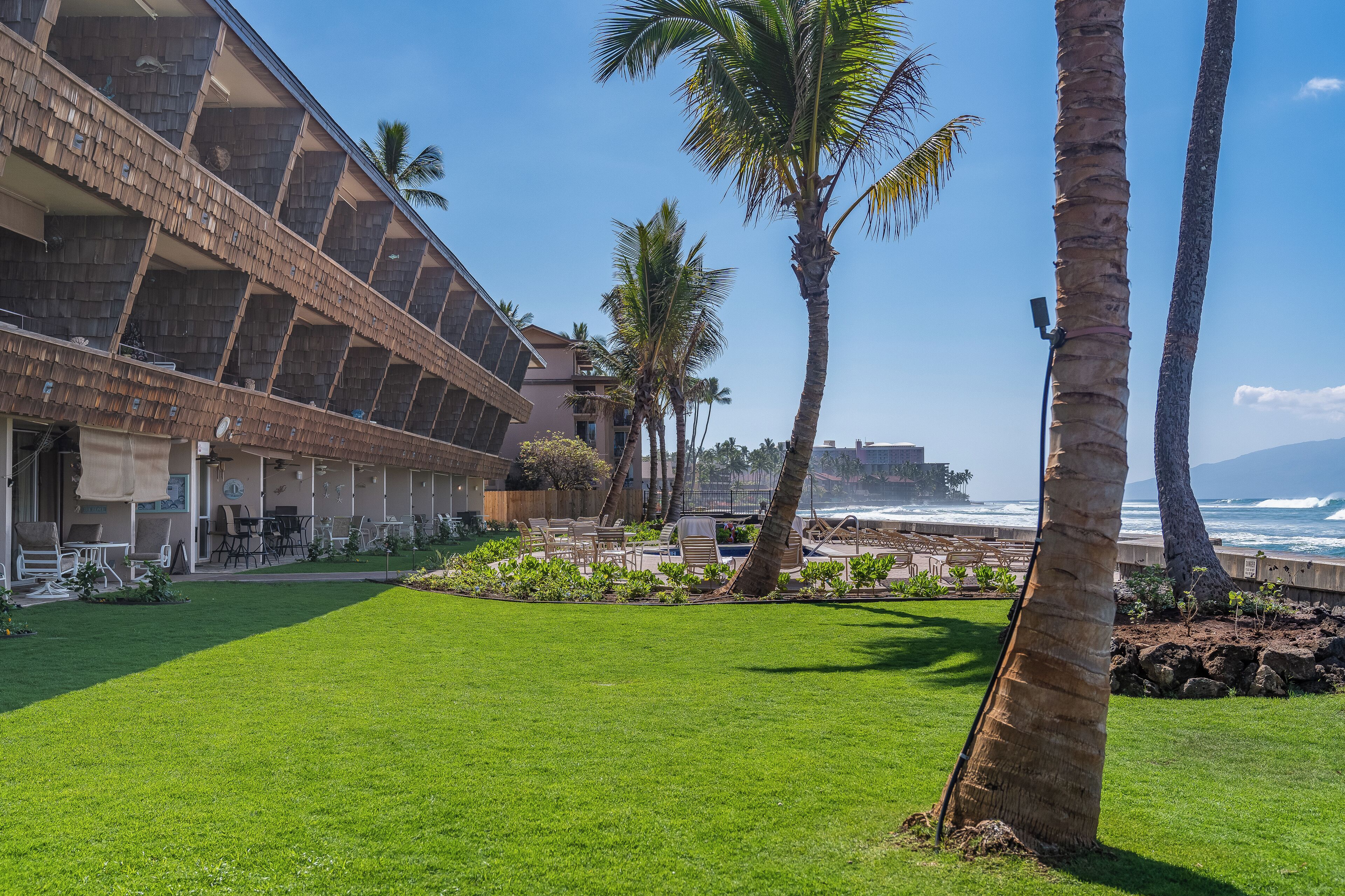 A hotel with a large outdoor area featuring a pool, palm trees, and a view of the ocean.