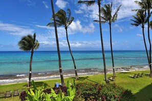 A beach view with palm trees, a clear sky, and a calm sea. - Beachfront 1BD w Stunning Ocean View-paki Maui 207 (Kaanapali)