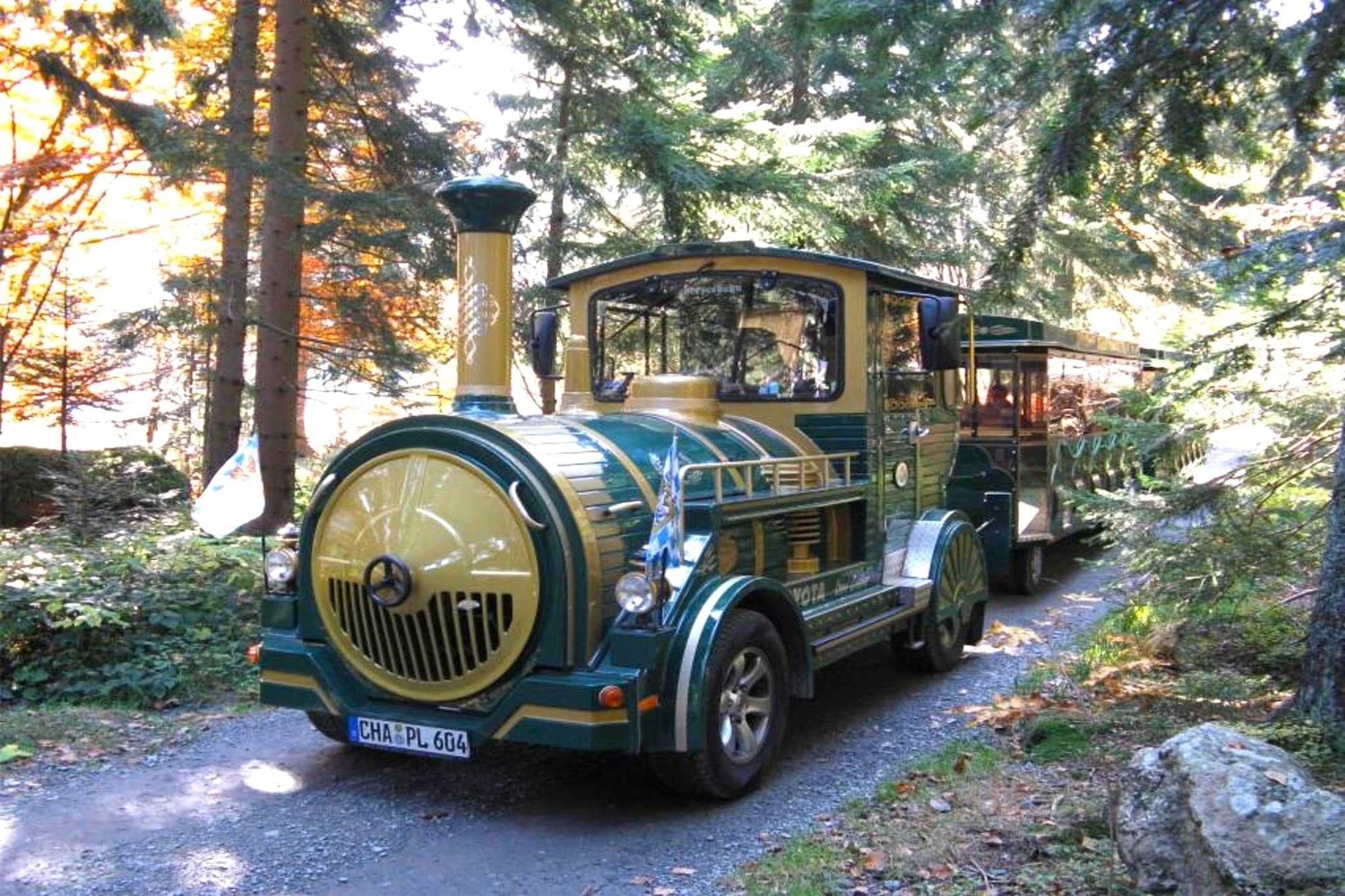 A vintage train with a green and yellow color scheme, traveling on a narrow track surrounded by trees.