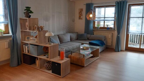 A modern living room with a sofa, coffee table, and shelves. - Apartment in Bodenmais near Grosser Arber (Bodenmais)