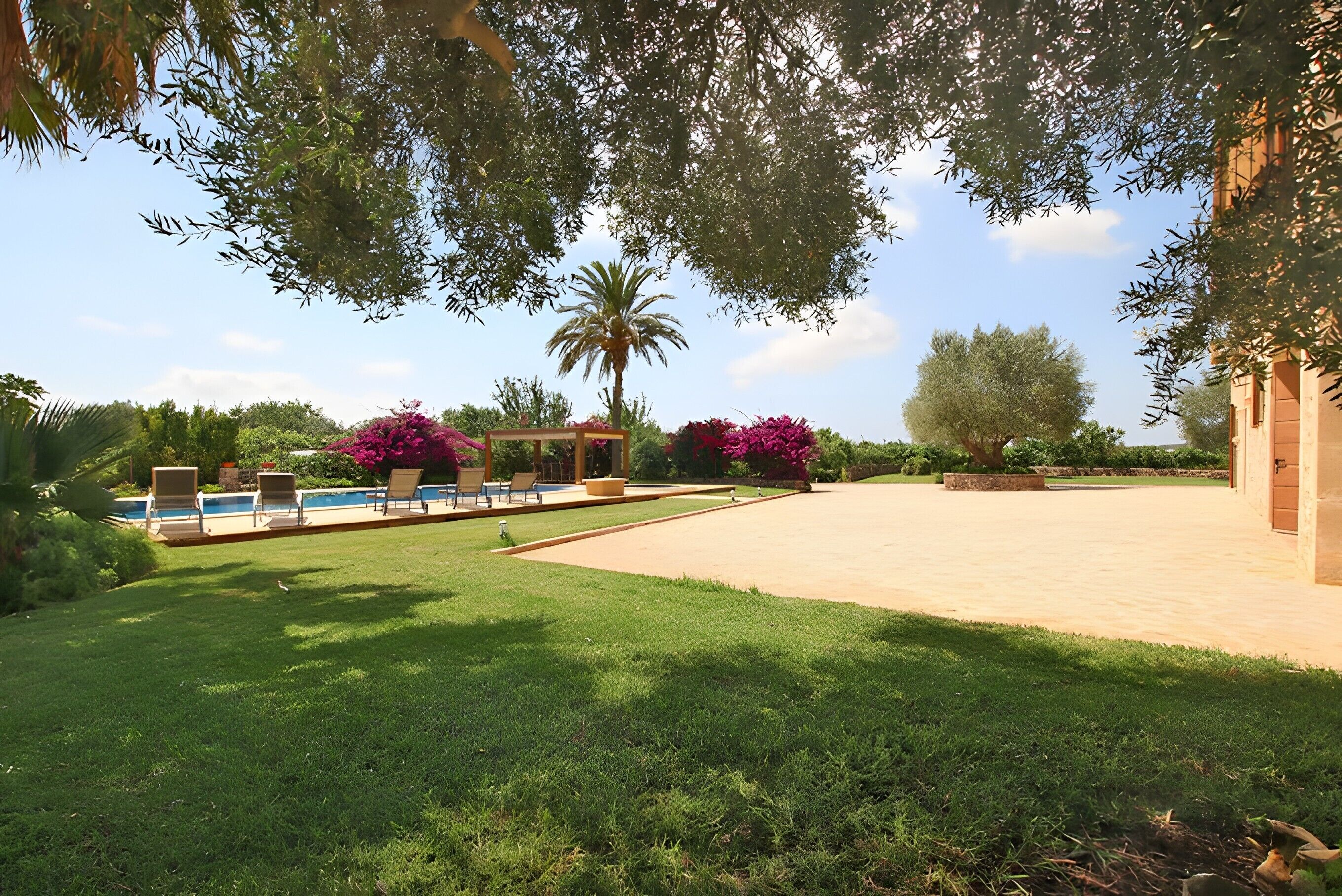 Ein gepflegter Garten mit Pool, Liegestühlen und einer Palme.