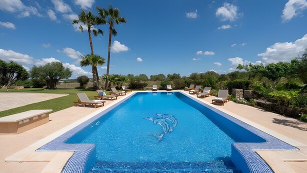 Ein rechteckiger Swimmingpool mit Delfin-Motiv, umgeben von Liegestühlen und Palmen.