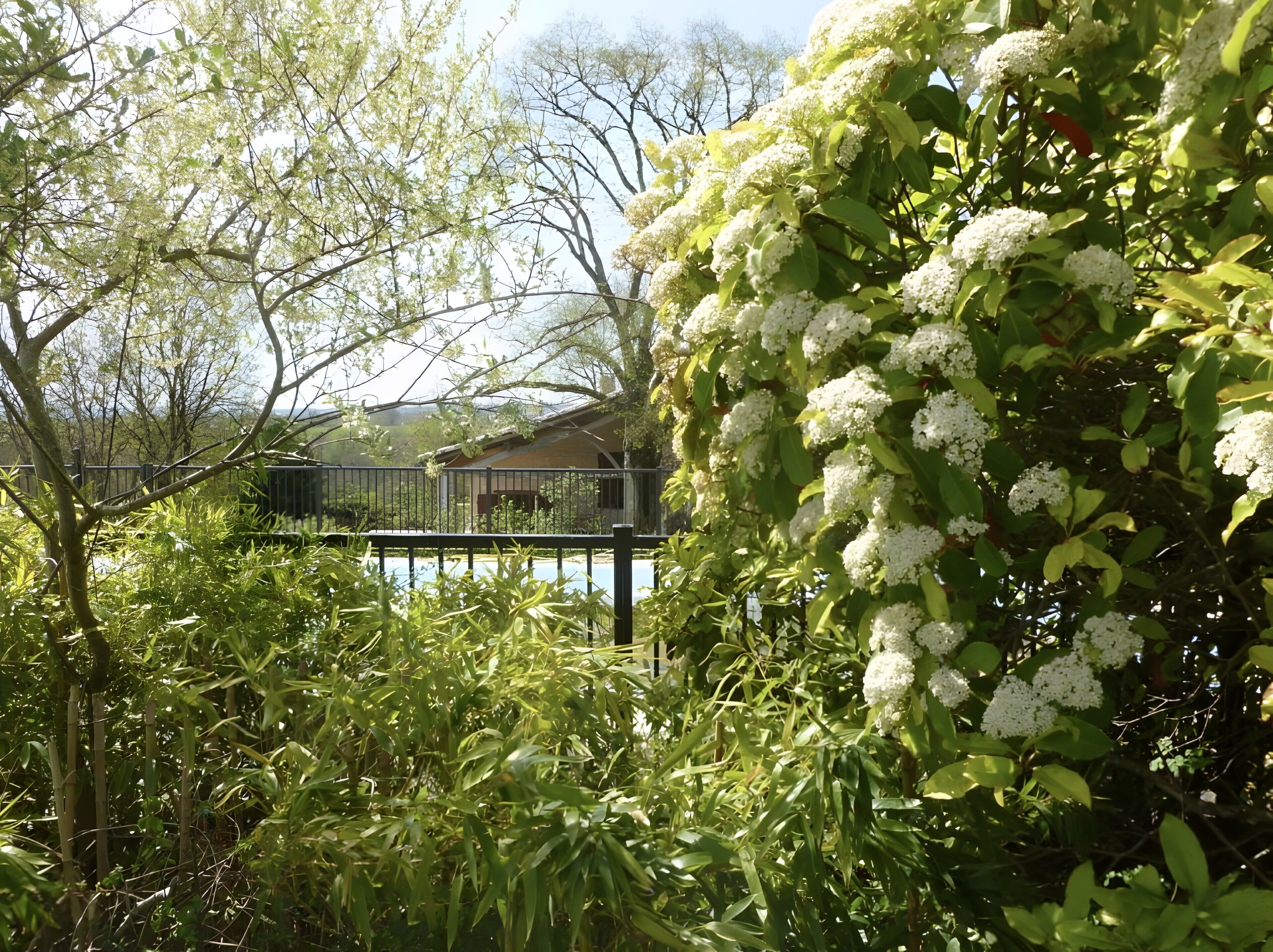 Een tuin met weelderige begroeiing en een huis op de achtergrond.