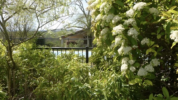 A garden with dense foliage and a house in the background. - Pechingorp Guest Room - Tilleul - Shared Pool, Terrace, and Wi-Fi (Le Verdier)