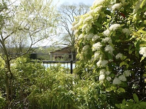 A garden with dense foliage and a house in the background. - Pechingorp Guest Room - Tilleul - Shared Pool, Terrace, and Wi-Fi (Le Verdier)