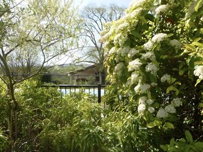 A garden with dense foliage and a house in the background. - Bed and Breakfast 'Pechingorp Chambres D'hôtes - Frêne' with Shared Pool, Shared Terrace and Wi-Fi (Le Verdier)