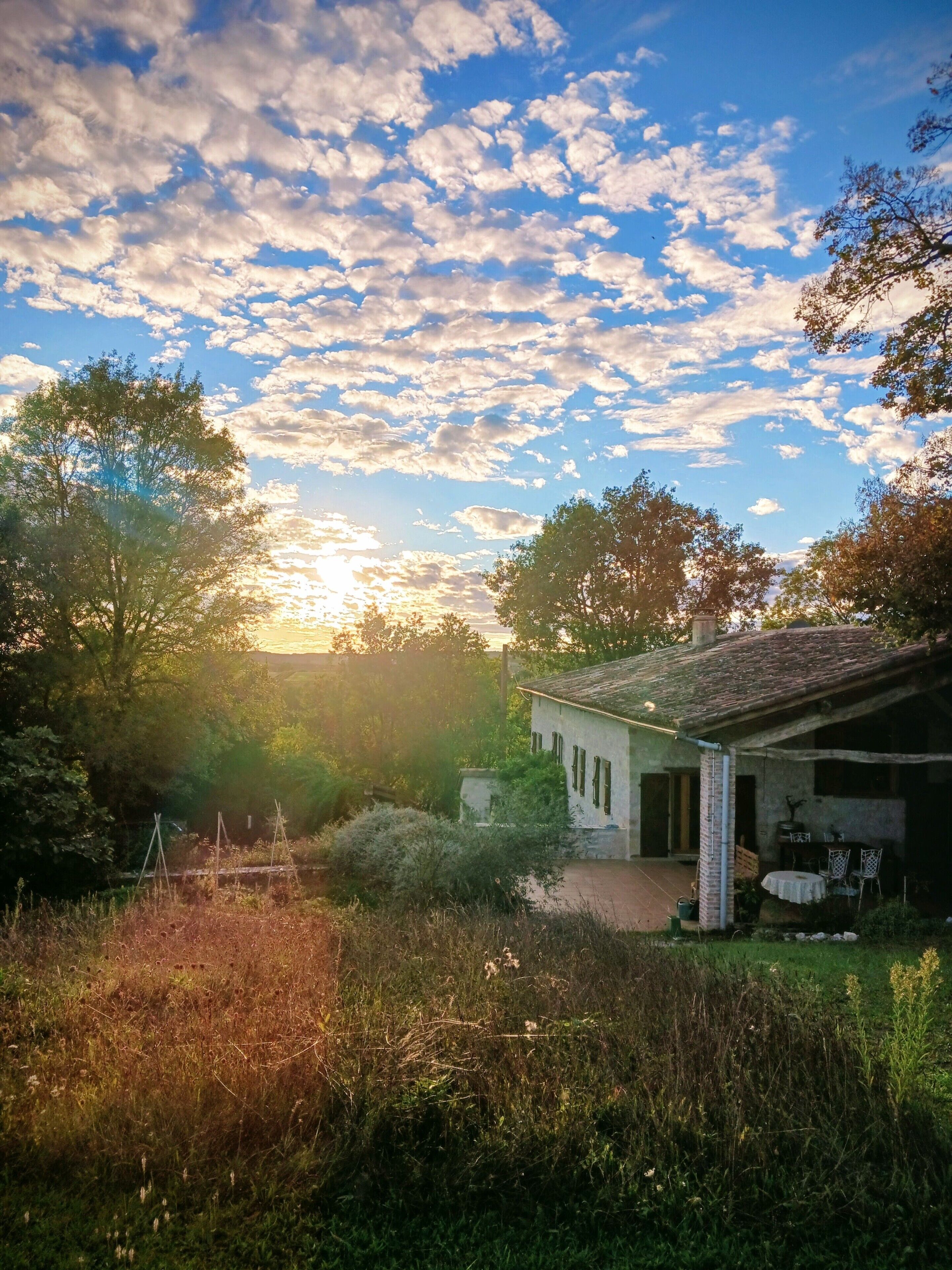 Una casa rústica con jardín, un pequeño estanque y cielo despejado.