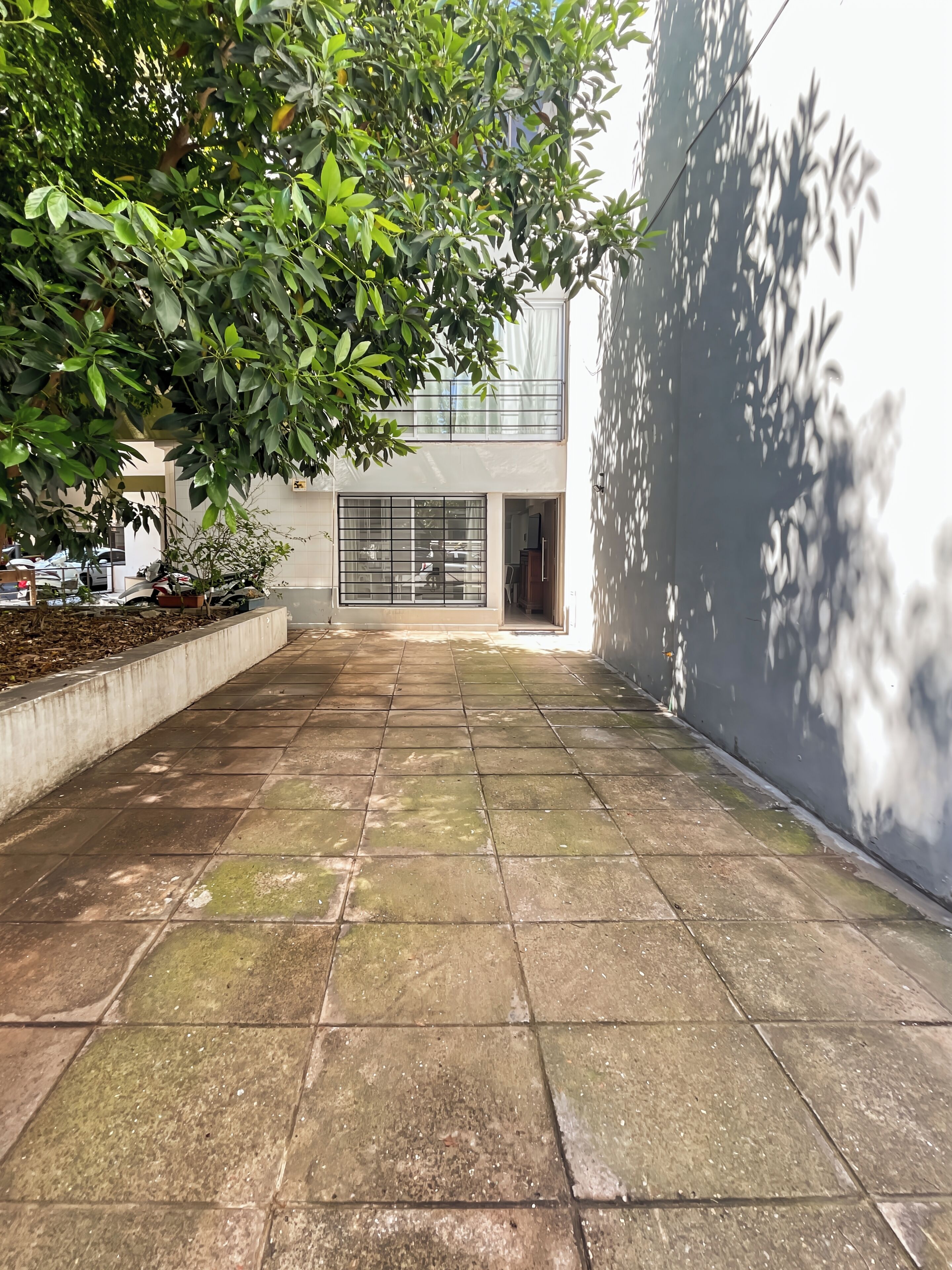 A paved courtyard with a building in the background, a tree, and a wall with shadows.