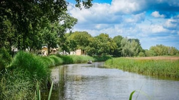 Een rivier met een brug, omringd door weelderige begroeiing en bomen.
