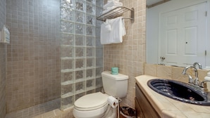 Un bany amb vàter, un box de dutxa de vidre i un lavabo amb mirall.