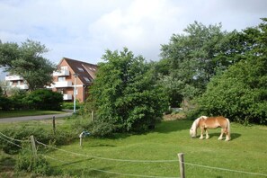 Ein Wohngebiet mit einem Haus, einem Pferd und einem eingezäunten Garten.