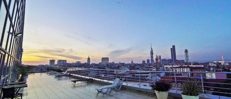 A rooftop terrace with a city skyline view, lounge chairs, and potted plants.