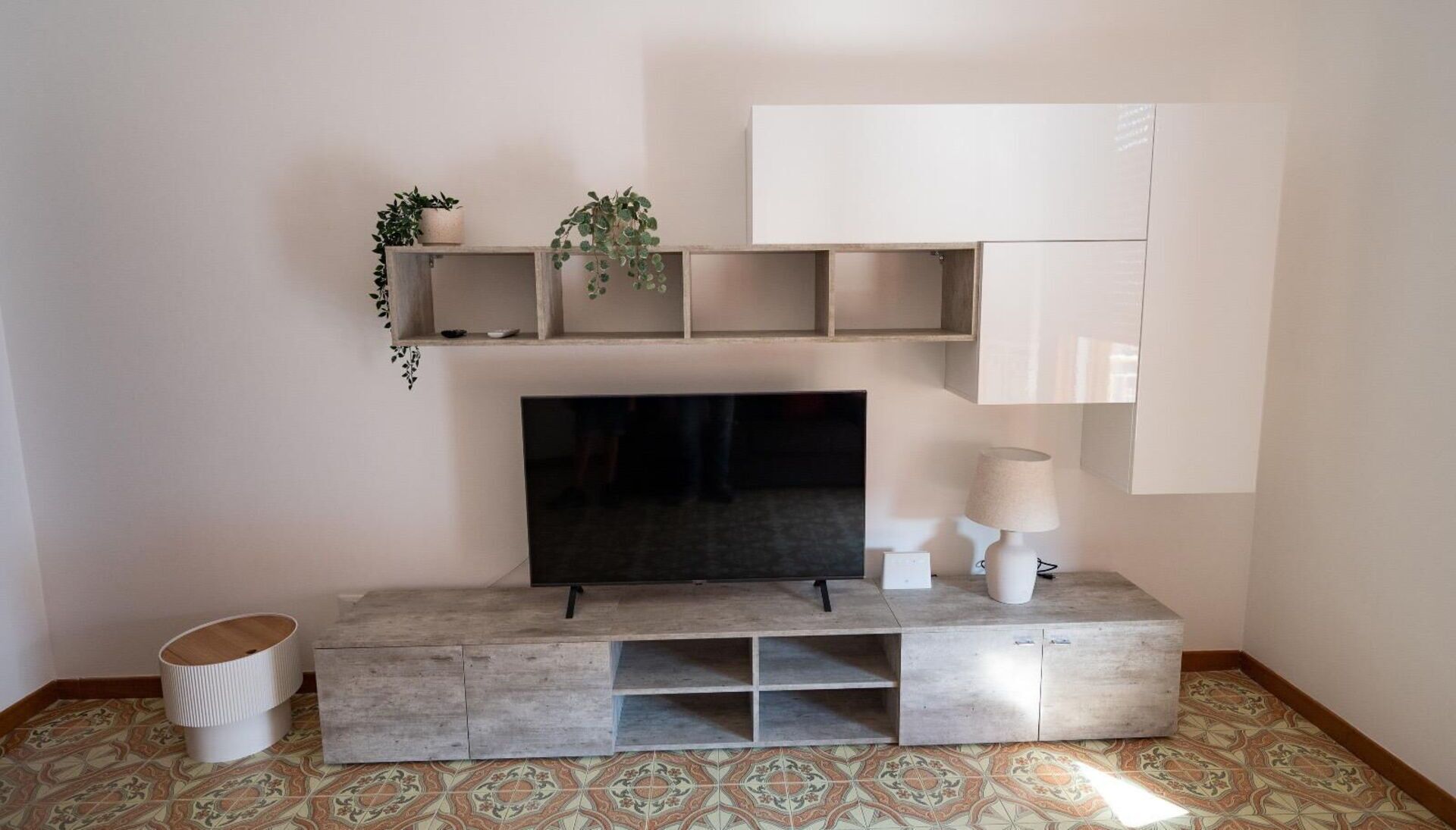 A living room with a flat-screen TV, a fireplace, a coffee table, and a shelf with plants.