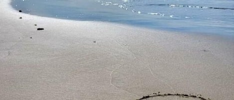 海灘