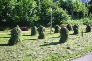 Un champ où des bottes de foin sont soigneusement disposées, avec une route en arrière-plan.