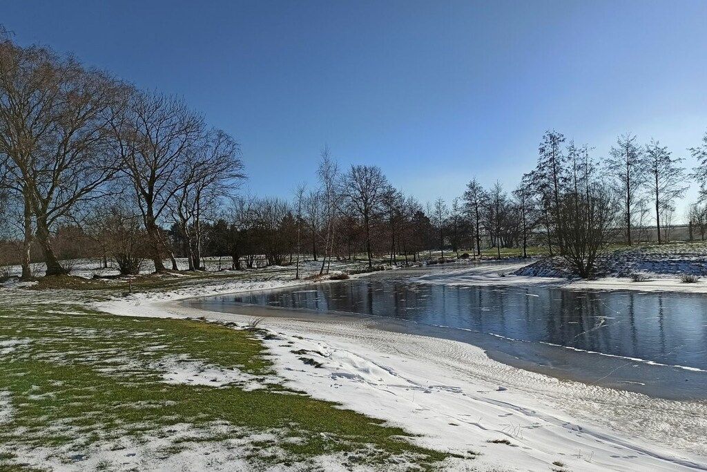 A frozen lake with trees and a grassy area.