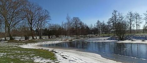 A frozen lake with trees and a grassy area.