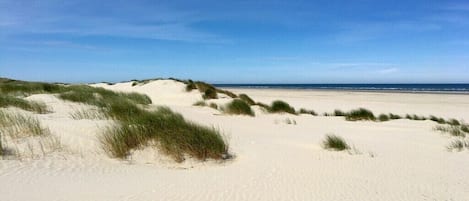 A sandy beach with dunes and a clear sky.