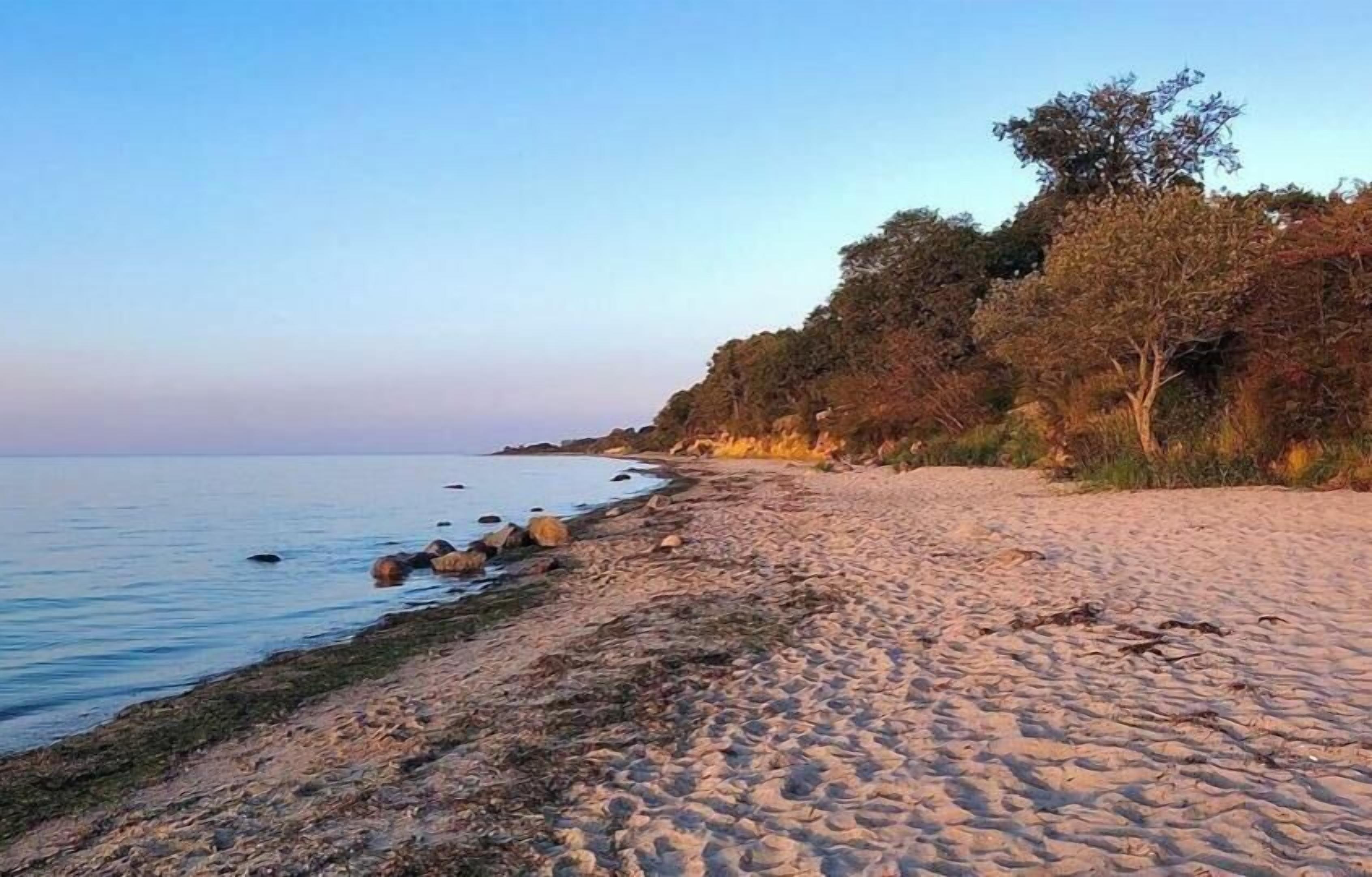 A beach with a sandy shore, some rocks, and trees in the background.