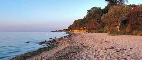 A beach with a sandy shore, some rocks, and trees in the background.