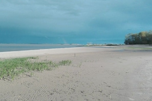 A sandy beach with sparse vegetation and a distant view of the sea under a cloudy sky. - in the middle of an organic fruit farm (Elbinsel Krautsand)