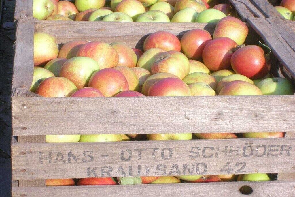 A wooden crate filled with apples, labeled 'Hans Otto Schroder Krautsand 42.'