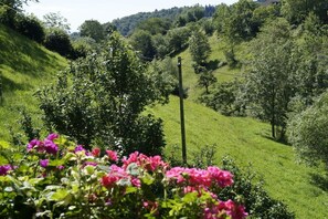 Un paysage verdoyant et luxuriant, avec un ciel dégagé, une ligne électrique et une variété d’arbres et d’arbustes.