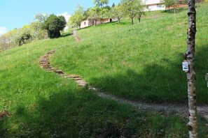 A grassy hillside with a stone path leading up to a building. - Paradise in the Black Forest 1 (Bad Peterstal-Griesbach)